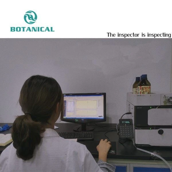 The inspector is inspecting of epimedium extract by Botanical Cube Inc.