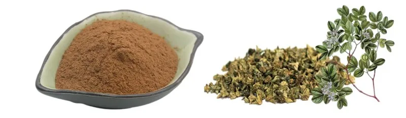 Tribulus Terrestris L Fruit Powder with 40 Saponins by Botanical Cube Inc1 Tribulus Terrestris L Fruit Powder with 40 Saponins by Botanical Cube Inc1