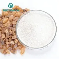 Екстракт от Boswellia Serrata на прах
